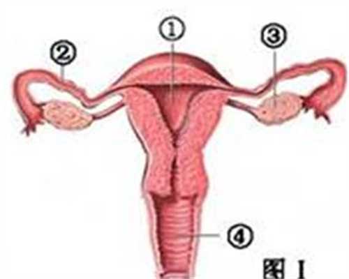 哪里有好的代孕保成功_怀孕早期症状