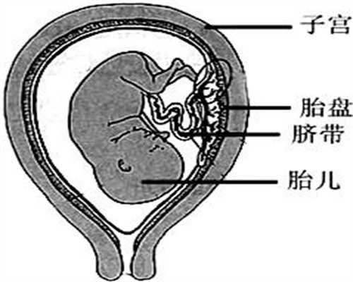 西安代孕龙凤胎:人流一个月内会代孕吗