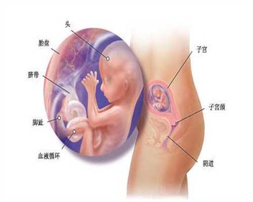 【北京朝阳医院供卵吗】38+6顺产小王子一枚，分享孕期症状（下）