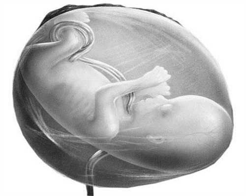 供卵试管婴儿一般15几万不孕不育怎么治(台湾供卵试管)