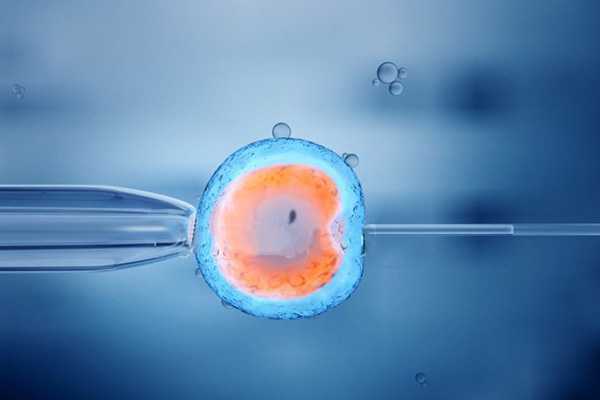 如何进行胚胎培养 需要注意些什么